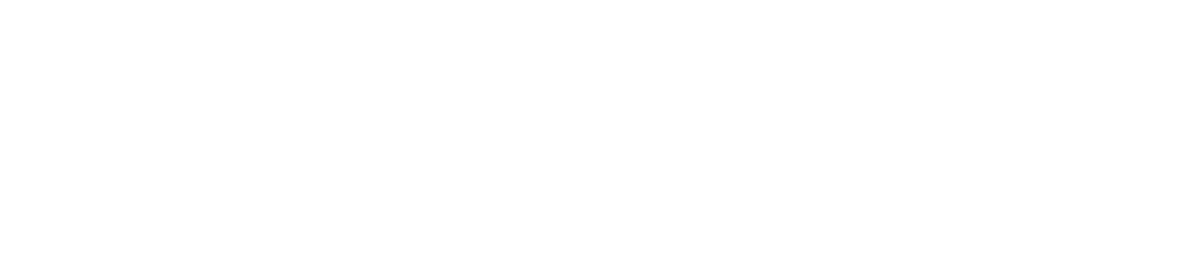 Zed Industries